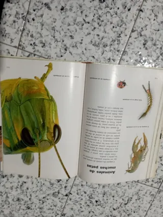 Libros el mundo de los niños