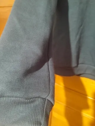 Sudadera azul con estampado de tigre