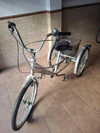Triciclo con cesta