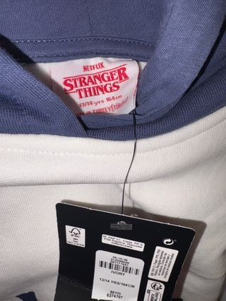 Sudadera Stranger Things Hellfire Club