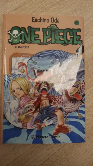 ONE PIECE
