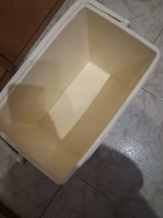 Nevera portátil azul y blanca