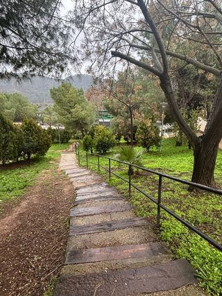 Resumen del carnet de conducir teorico