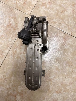 Enfriador Válvula EGR VW Passat Golf 2.0 TDI BKP