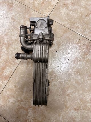 Enfriador Válvula EGR VW Passat Golf 2.0 TDI BKP