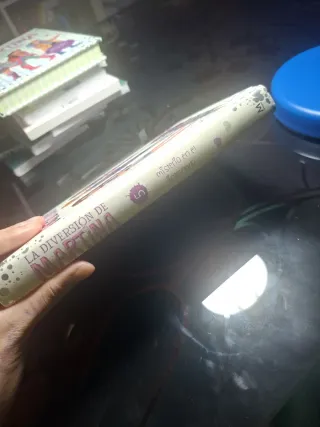 Misterio en el internado (La diversión de Marti...