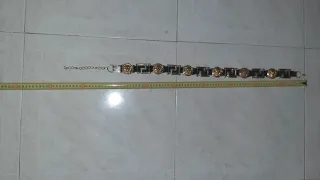 Cinturón Metal León y Greca