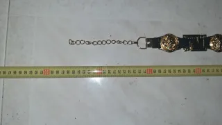 Cinturón Metal León y Greca