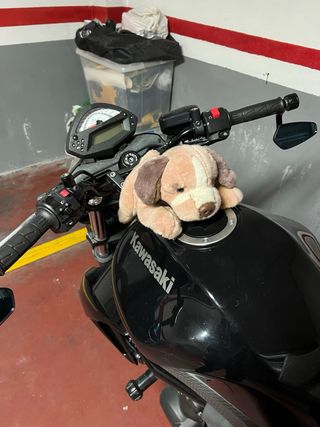 Kawasaki Er-6n 2300€