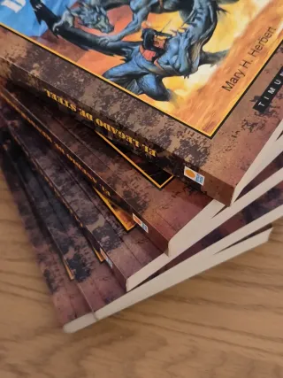 Saga Interregno. Dragonlance. Dungeons. Rol