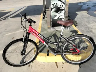 Bicicleta de montaña