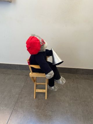 Peluche Gato Director Hollywood