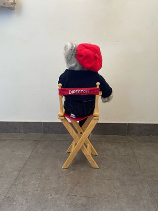 Peluche Gato Director Hollywood