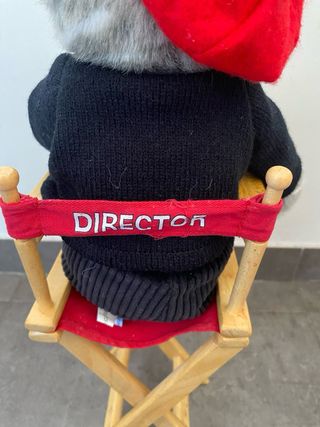 Peluche Gato Director Hollywood