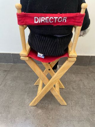 Peluche Gato Director Hollywood