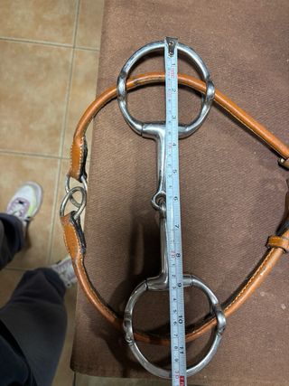 Bocado para caballo con riendas de cuero