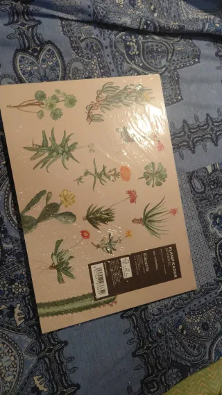 Matite colorate KOKONOTE e pianificatore