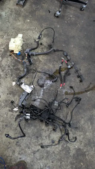 Cableado Motor BMW M57 306D3