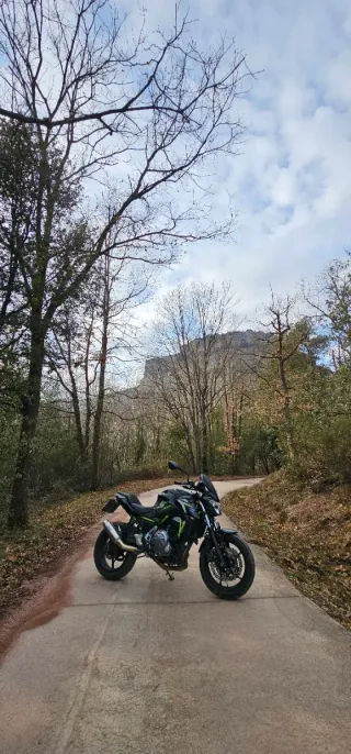 Kawasaki Z650 2018 Naked