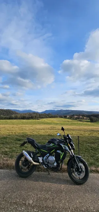 Kawasaki Z650 2018 Naked