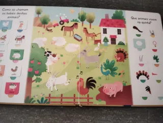 Livros Infantis Em Cartão de Animais Usados