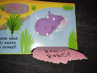 Livros Infantis Em Cartão de Animais Usados