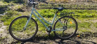 Bicicleta de paseo trekking ciudad y caminos