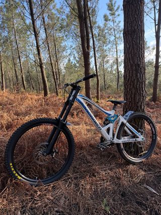 Mondraker Summum DH
