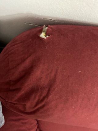 Vendo conjunto de 2 sofás de dos plazas – 100€ los