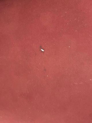 Vendo conjunto de 2 sofás de dos plazas – 100€ los