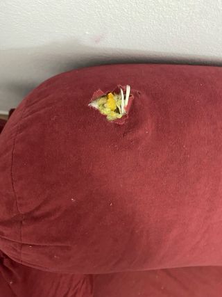 Vendo conjunto de 2 sofás de dos plazas – 100€ los