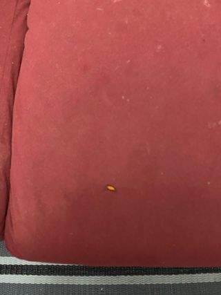 Vendo conjunto de 2 sofás de dos plazas – 100€ los