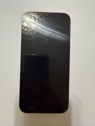 iPhone 13 Pro Max 256 GB