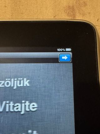 iPad 1 32GB Argento - Da Collezione