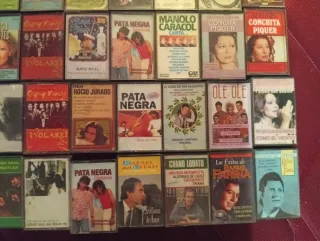 Lote Cintas Cassette Colección Música Variada