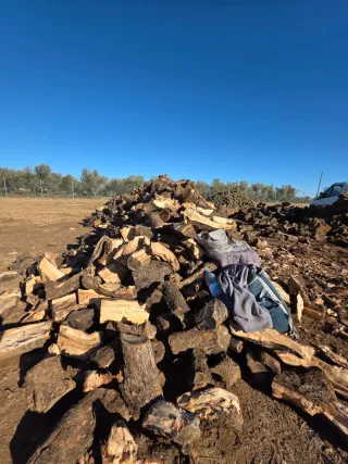 Leña de olivo manejable