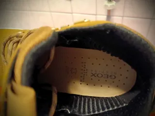 Scarponcini Geox Donna Marrone Tg 39 Nuovi