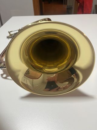 Fliscorno Gear4music en Sib