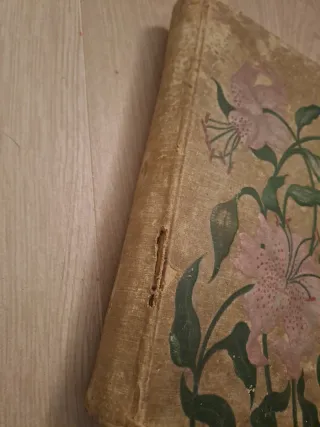 Album antico cartes postales