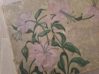 Album antico cartes postales