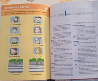 Diccionario de Primaria (Spanish Edition)