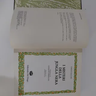 Libro i misteri della Jungla Nera