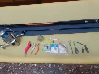 Caña de pescar, carrete y accesorios
