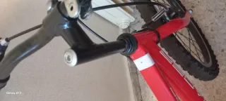 Bicicleta Infantil 20 Roja