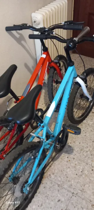 Bicicleta Infantil 20 Roja
