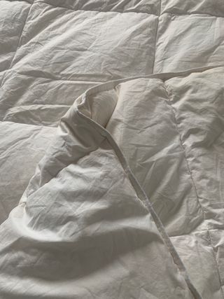 Edredón plumón pato 260x220