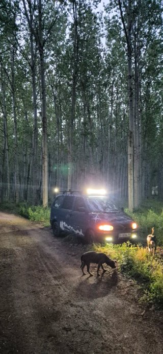 Nissan Serena 1994