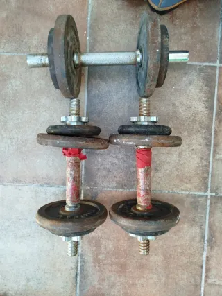 Mancuernas ajustables con discos