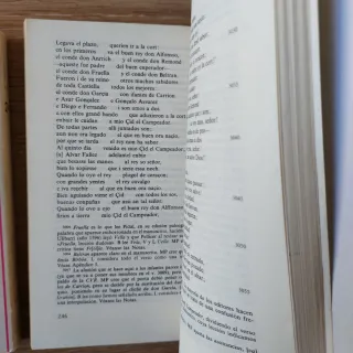 Lote 3 libros Literatura Española clásica