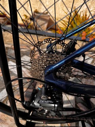 Bicicleta Orbea Avant Claris R2000 2x8v